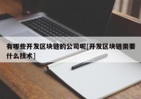 有哪些开发区块链的公司呢[开发区块链需要什么技术]